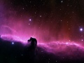 Mgławica Koński Łeb. Fot. NASA