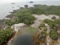 Triquet Island. Foto: Grant Callegari/Hakai Institute