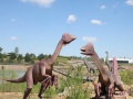 Chirostenot, dinozaur żyjący w późnej kredzie. Replika znajdująca się w JuraParku w Krasiejowie. Fot. Tomasz Płosa