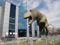Replika tyranozaura przed Instytutem Nauk o Ziemi Uniwersytetu Śląskiego