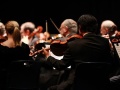 muzycy grający w orkiestrze ukazani podczas koncertu