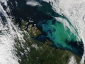 Wiosną i latem na Morzu Barentsa, na północ od Norwegii i Rosji, często widoczne są niebieskie i zielone zakwity fitoplanktonu. Spektroradiometr MODIS (Moderate Resolution Imaging Spectroradiometer) na pokładzie satelity Aqua NASA uchwycił ten kolorowy obraz 15 lipca 2021 roku | Image credit: NASA Earth Observatory