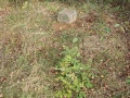 Kwadratowy kamień - punkt triangulacyjny Sucha Góra | fot. archiwum M. Lamparskiej