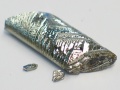 Kryształ telluru - srebrny wałek na szaroniebieskim podłożu