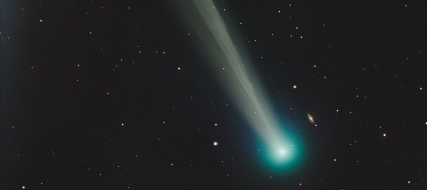 Zielonkawa kometa z długim ogonem na te czarnego nieba | Image Credit: Ciel Austral