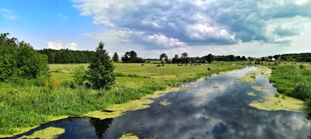 Rzeka Ełk w okolicach Grajewa | fot. Agnieszka Czajka